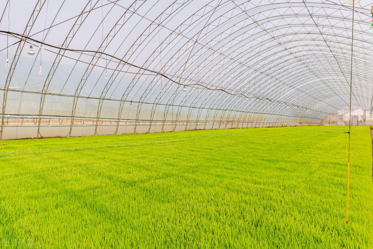 農業物聯網溫室大棚灌溉解決方案